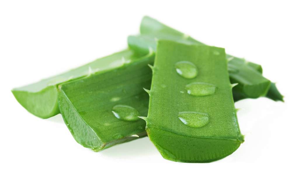 התרונות Aloe Vera